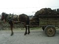 Albania_-_On_The_Road_09