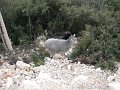 Albania_-_On_The_Road_134