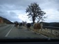 Albania_-_On_The_Road_136