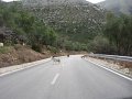 Albania_-_On_The_Road_179