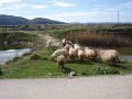 Albania_-_On_The_Road_198