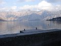 Montenegro_-_Baia_di_Kotor_29