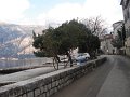 Montenegro_-_Baia_di_Kotor_50