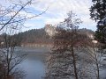 Slovenia_-_Bled_23