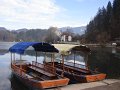 Slovenia_-_Bled_39