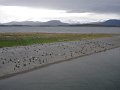 ArGeNtInA_-_UsHuAiA_-_TiErRa_DeL_FuEgO_100