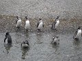 ArGeNtInA_-_UsHuAiA_-_TiErRa_DeL_FuEgO_104