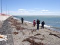 ArGeNtInA_-_UsHuAiA_-_TiErRa_DeL_FuEgO_146