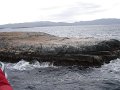 ArGeNtInA_-_UsHuAiA_-_TiErRa_DeL_FuEgO_41