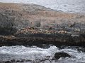 ArGeNtInA_-_UsHuAiA_-_TiErRa_DeL_FuEgO_51