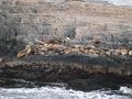 ArGeNtInA_-_UsHuAiA_-_TiErRa_DeL_FuEgO_55