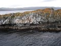 ArGeNtInA_-_UsHuAiA_-_TiErRa_DeL_FuEgO_67