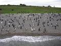 ArGeNtInA_-_UsHuAiA_-_TiErRa_DeL_FuEgO_72