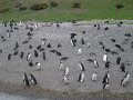 ArGeNtInA_-_UsHuAiA_-_TiErRa_DeL_FuEgO_74