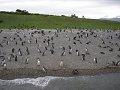 ArGeNtInA_-_UsHuAiA_-_TiErRa_DeL_FuEgO_76