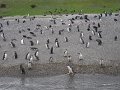 ArGeNtInA_-_UsHuAiA_-_TiErRa_DeL_FuEgO_79