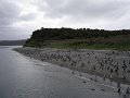 ArGeNtInA_-_UsHuAiA_-_TiErRa_DeL_FuEgO_81