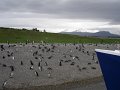 ArGeNtInA_-_UsHuAiA_-_TiErRa_DeL_FuEgO_85