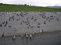 ArGeNtInA_-_UsHuAiA_-_TiErRa_DeL_FuEgO_92