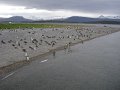 ArGeNtInA_-_UsHuAiA_-_TiErRa_DeL_FuEgO_93