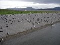 ArGeNtInA_-_UsHuAiA_-_TiErRa_DeL_FuEgO_94