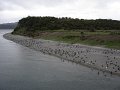 ArGeNtInA_-_UsHuAiA_-_TiErRa_DeL_FuEgO_98