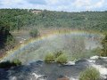 BrAsILe_-_ArGeNtInA_-_PaRqUe_NaTiOnAl_IgUaZù_260