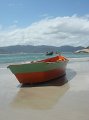 BrAsILe_-_FlOrIaNoPoLiS_178