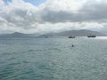 BrAsILe_-_FlOrIaNoPoLiS_189