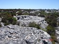 South_Africa_-_Cape_Town_108