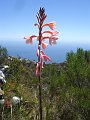 South_Africa_-_Cape_Town_115