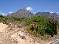 South_Africa_-_Cape_Town_52