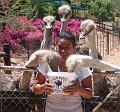 South_Africa_-_Oudtshoorn_65