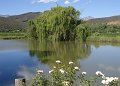 South_Africa_-_Oudtshoorn_73