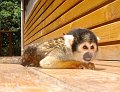 South_Africa_-_Plettenberg_Bay_50