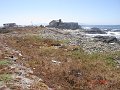 South_Africa_-_Robben_Island_08